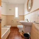 Apartman Alma Nortena